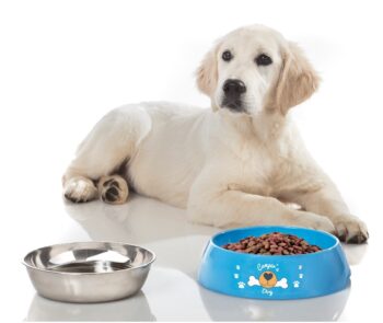BRUNNER - CIOTOLA PER CANI HUNGRY  CELESTE 0830110N.C30
