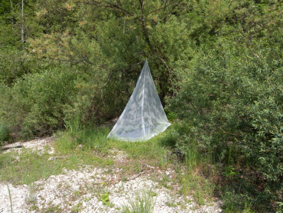 RELAGS - ZANZARIERA PYRAMID 1 IMPREGNAT  - 750391