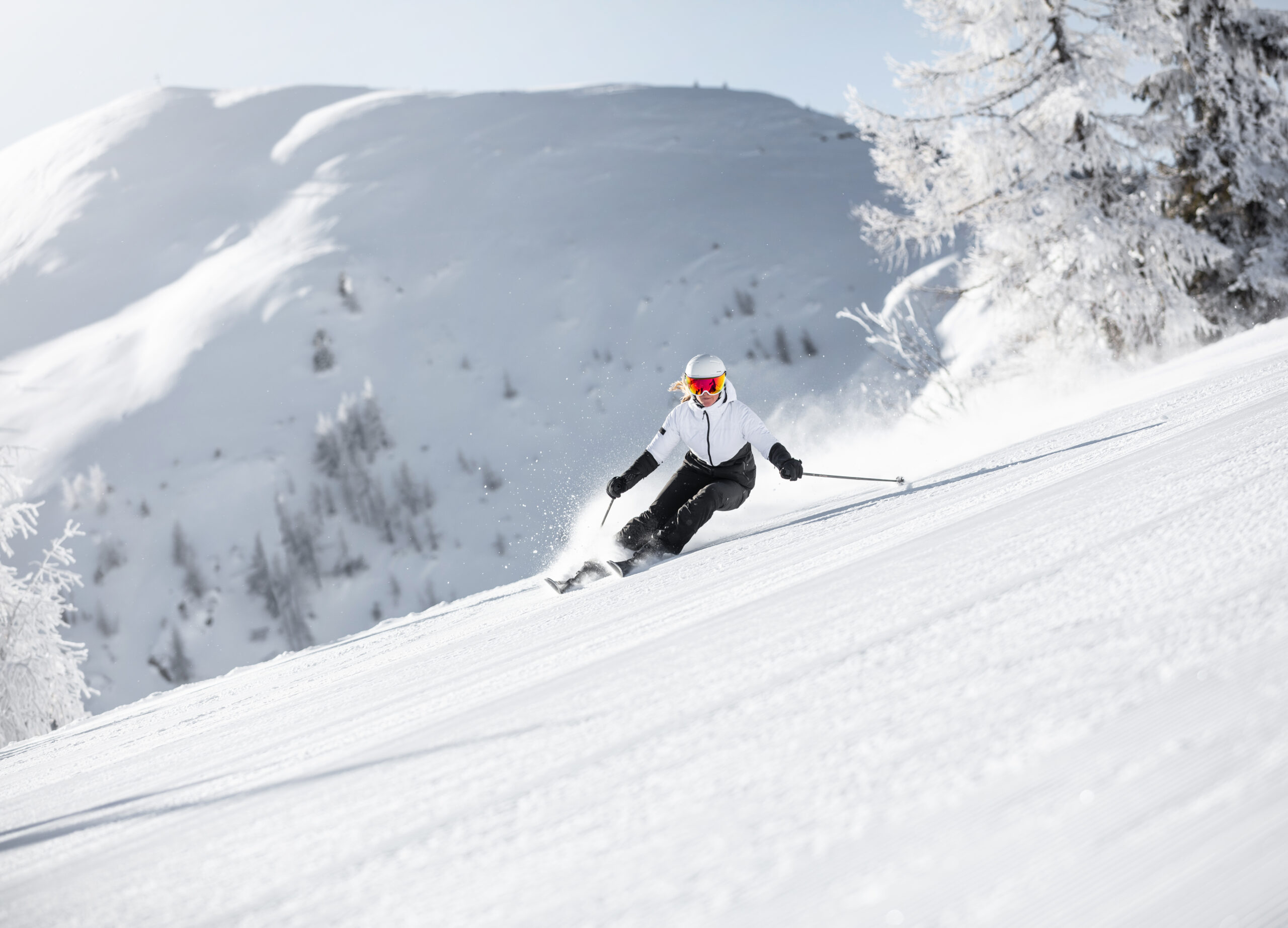 CLOUD_SHESKIS_2021_2022_5