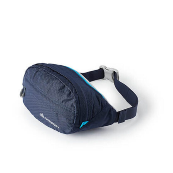 GREGORY - MARSUPIO NANO WAISTPACK  D2432 BRIGHT NAVY 126861