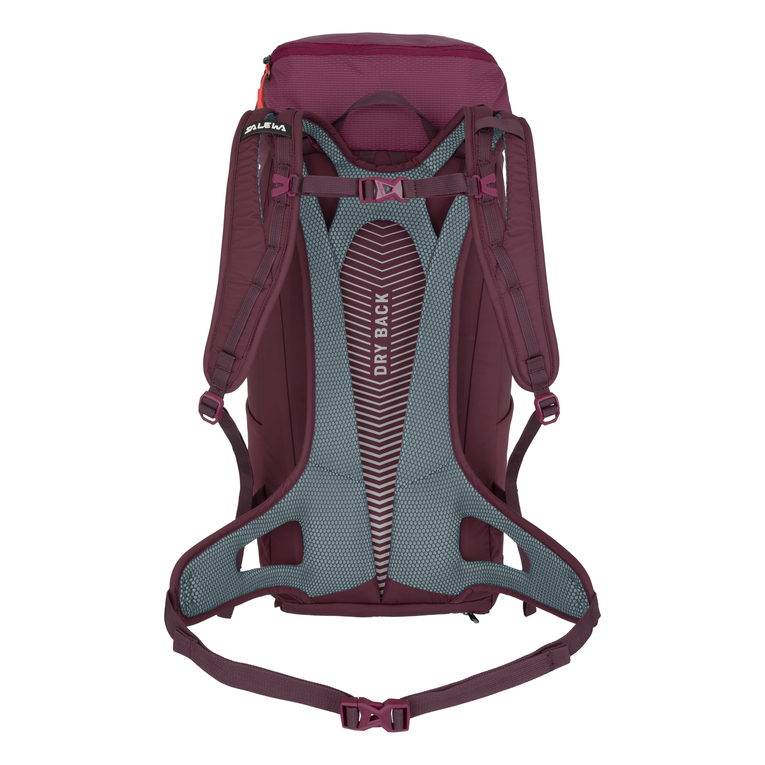 SALEWA - ZAINO DONNA ALP MATE 30LT. 1570 SYRAH 1271 - immagine 2