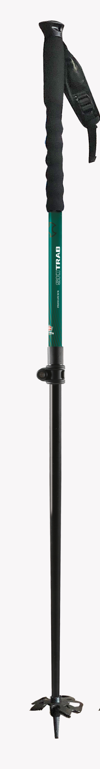 TRABUCCHI - SKITRAB - BASTONCINI STELVIO LIFE  GREEN 41157