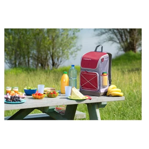 BORSA TERMICA BACKPACK  30 LITRI 24781 - immagine 2