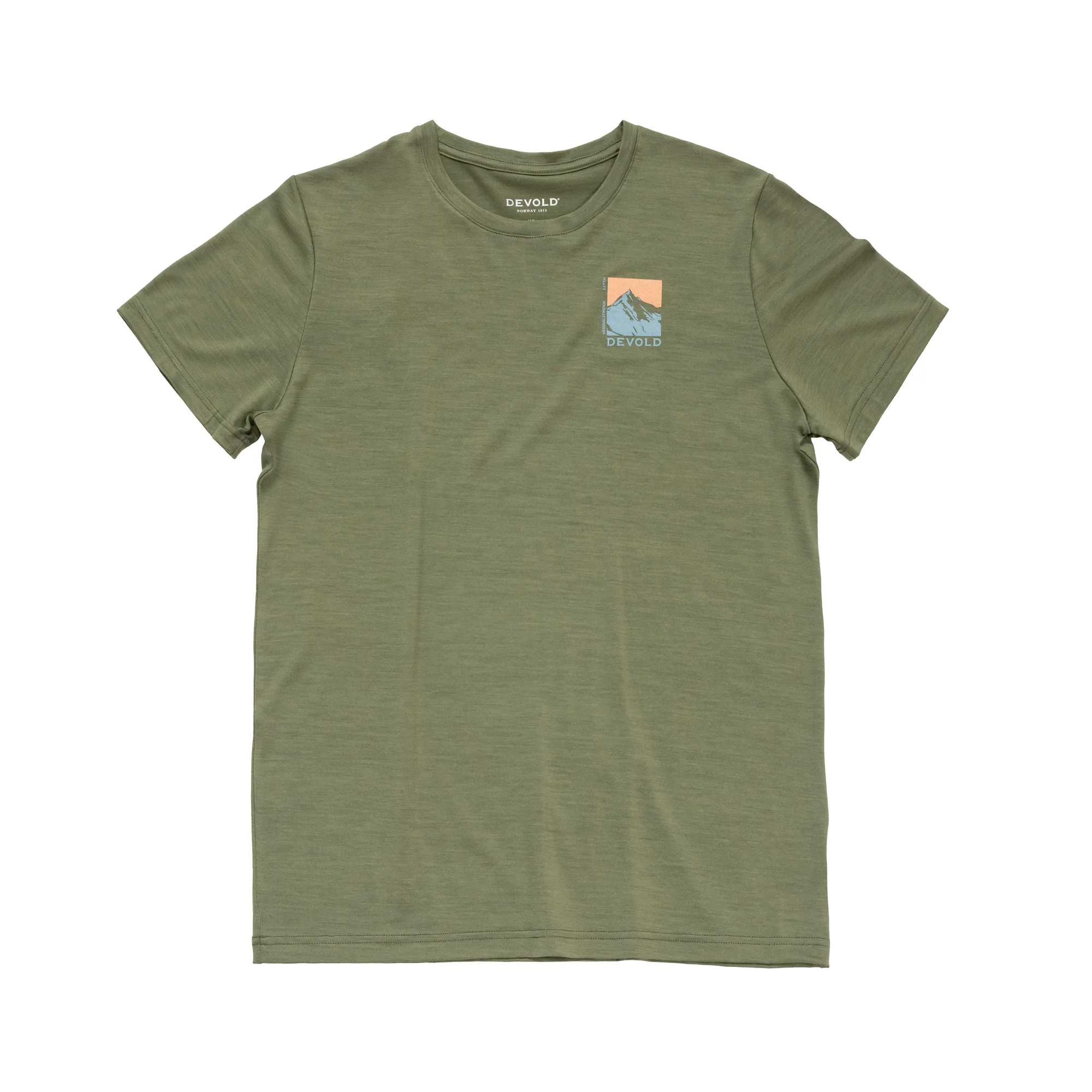 DEVOLD - T-SHIRT CLASSIC MERINO LICHEN GO180295