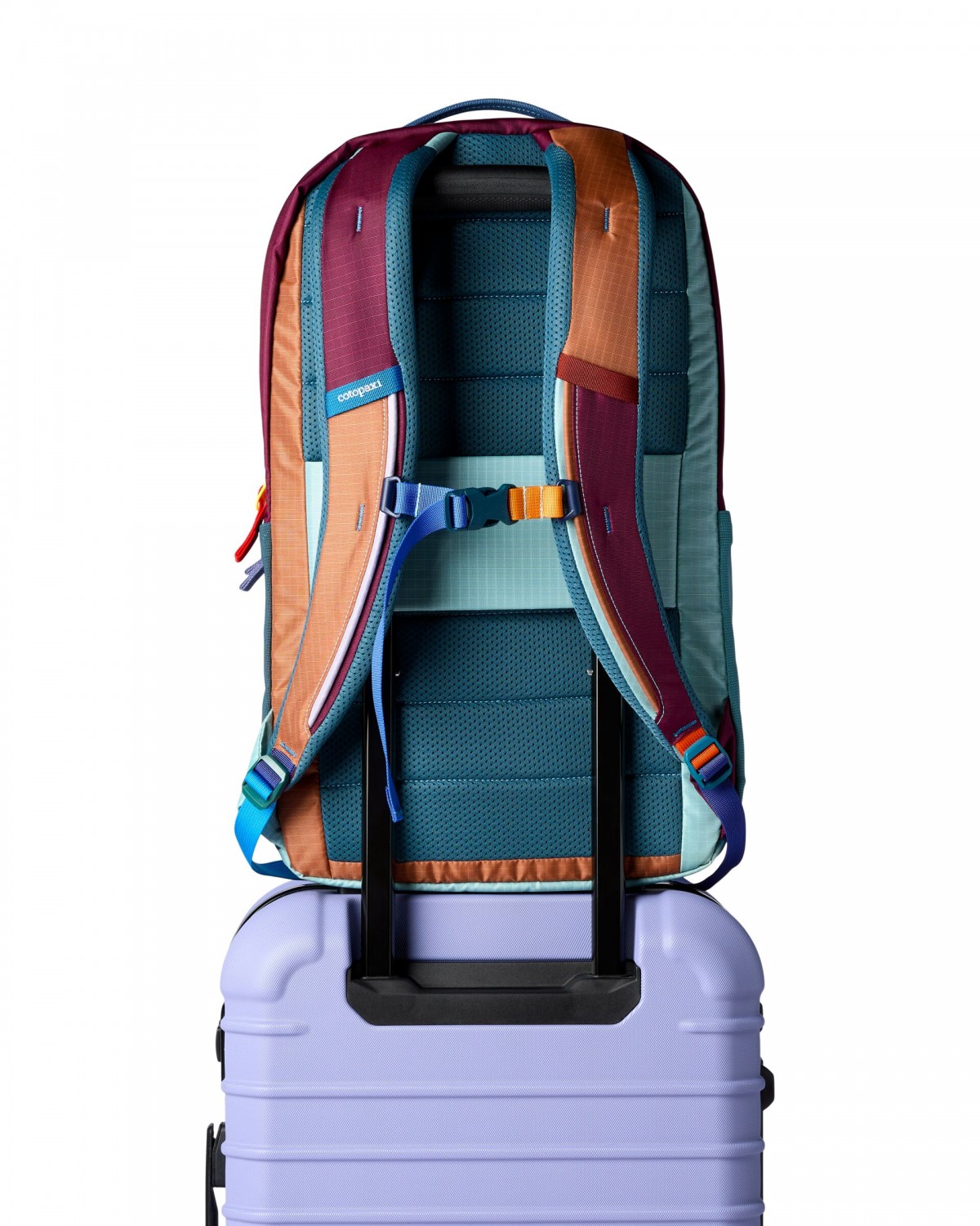 COTOPAXI – ZAINO ALLPA 26L – DD - COLORE CASUALE – 492U1497 - immagine 6